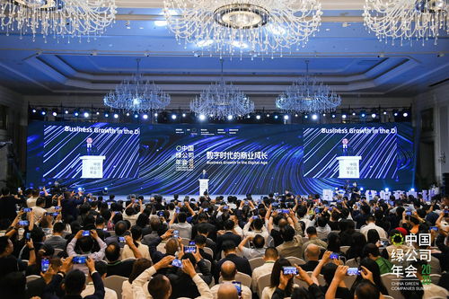 马云绿公司年会谈全球化 未来的全球化将由中国内需驱动