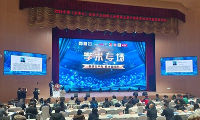 黑龙江省社科联以社科新动能激活冰雪新引擎