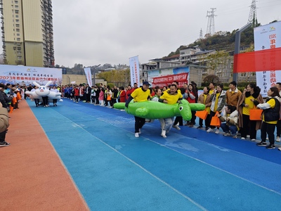 【组图】恩施州社区运动会精彩瞬间